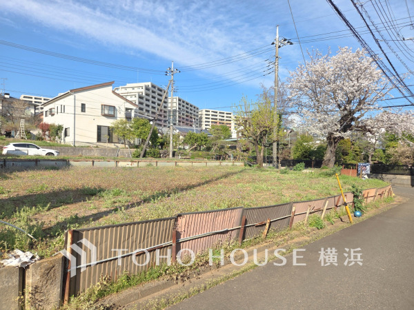 【2026年4月撮影】165.10平米(49.94坪)