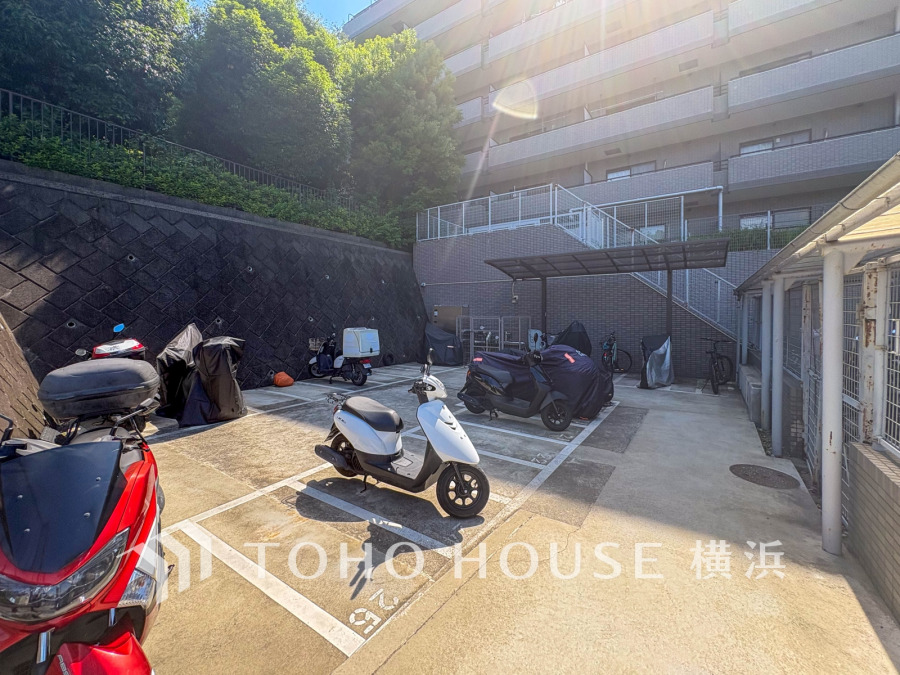 【2026年6月撮影】