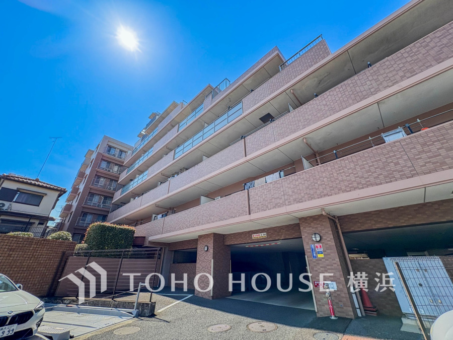 【2026年3月撮影】