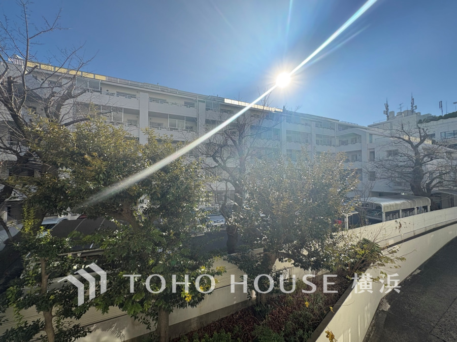 手を伸ばせば、ふれることが出来そうな環境が、そのままインテリアになったような開放的な空間。