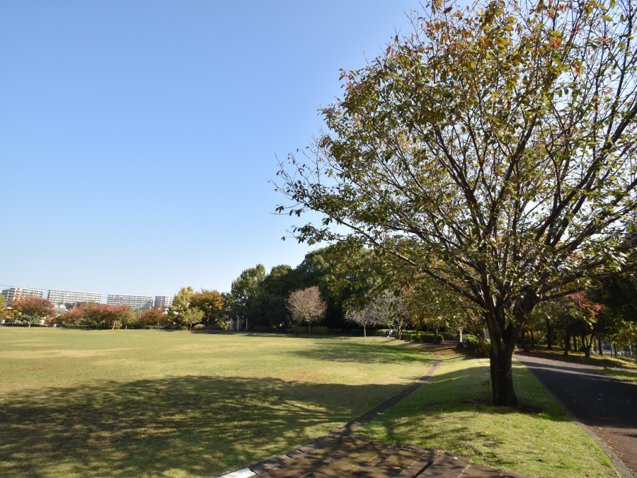 滝ケ谷公園　約650ｍ