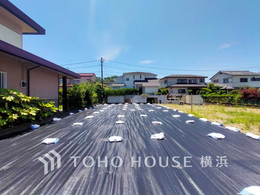 現地写真