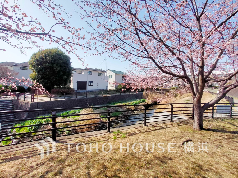 川沿いの桜並木が美しい、穏やかな住宅地。自然と調和した快適な暮らしが叶います。