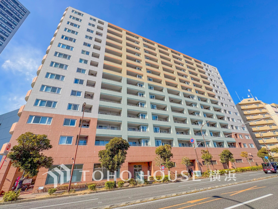 【2026年1月撮影】