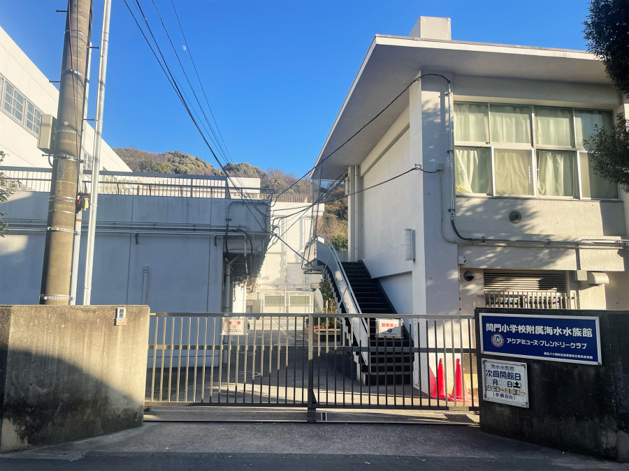 横浜市立間門小学校 約350ｍ