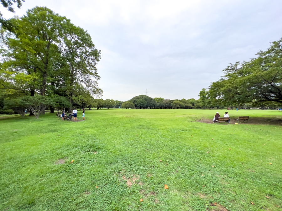 岸根公園まで　約400ｍ