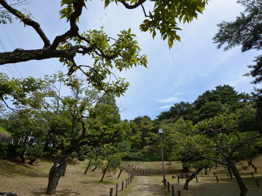 大倉山公園　約260ｍ