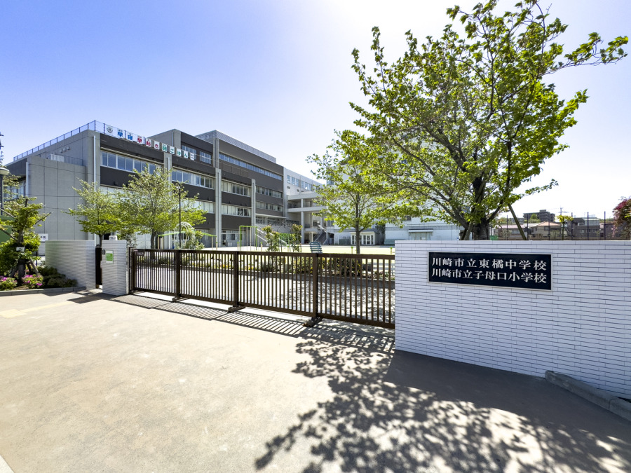 川崎市立子母口小学校、川崎市立東橘中学校…約800ｍ