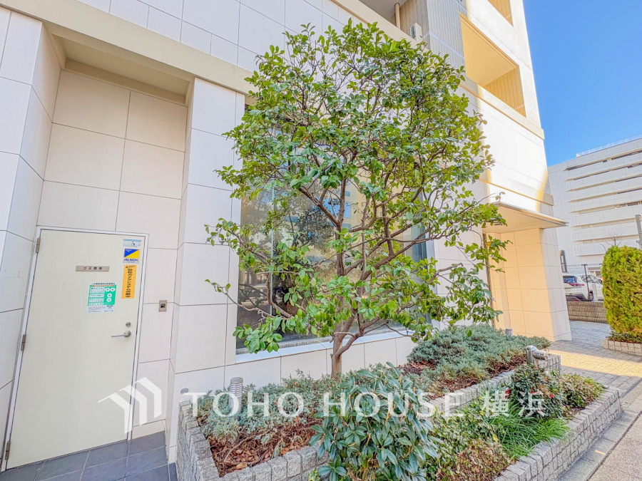 2026年1月撮影・中庭