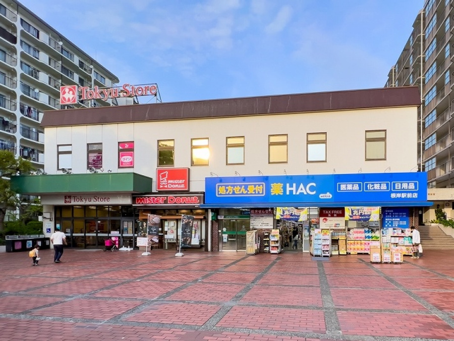 東急ストア根岸店＆ハックドラッグ根岸駅前店まで　約1000ｍ