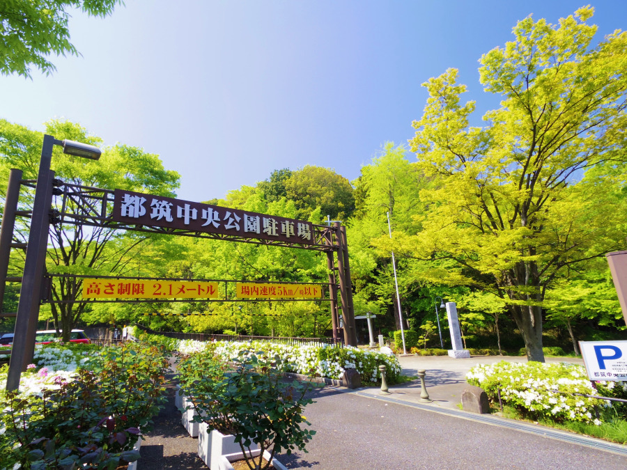 都筑中央公園　約800ｍ