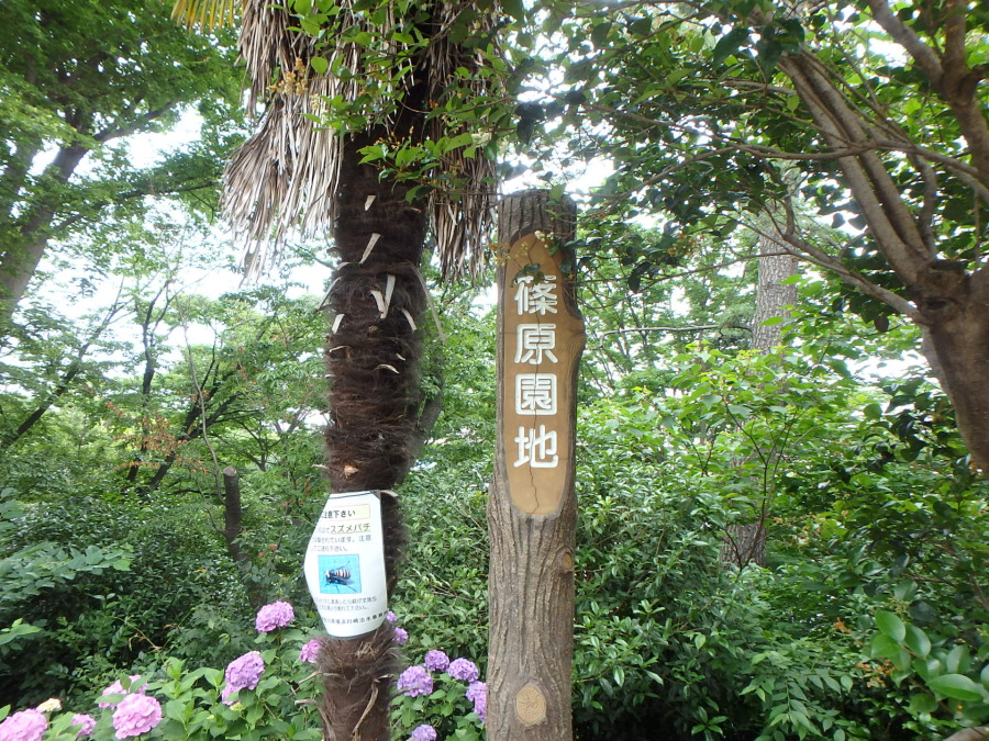 篠原園地　約280ｍ