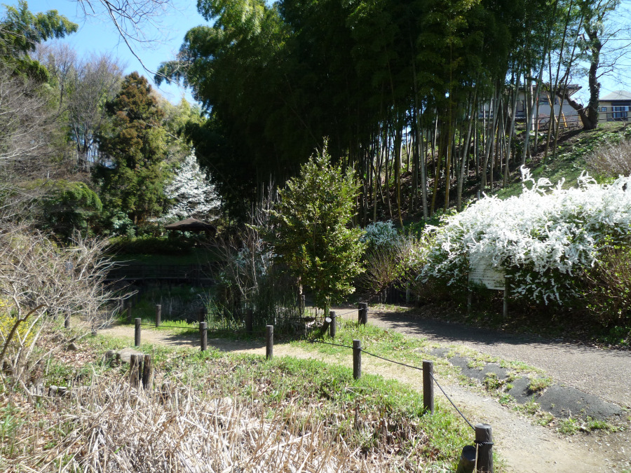 新井町公園　約650ｍ
