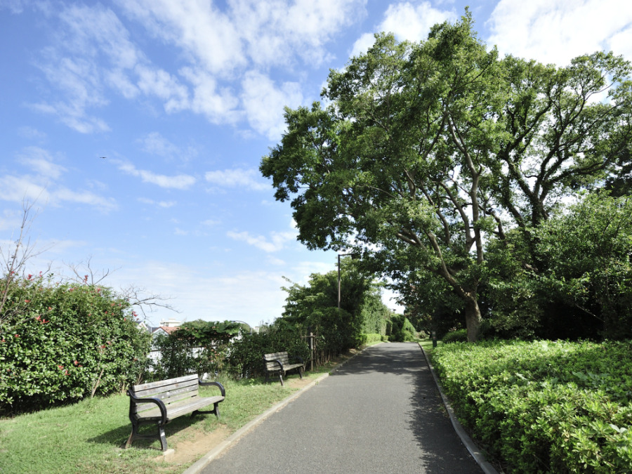 本牧山頂公園　約350ｍ
