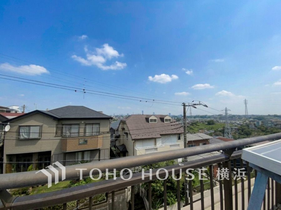 【2026年7月撮影】
