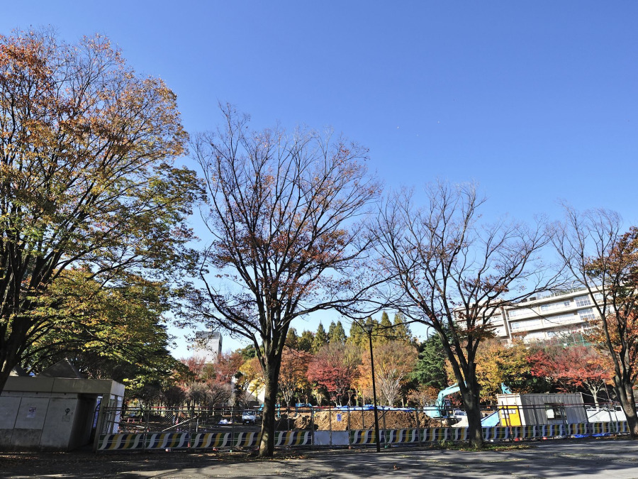 沢渡中央公園まで約700m