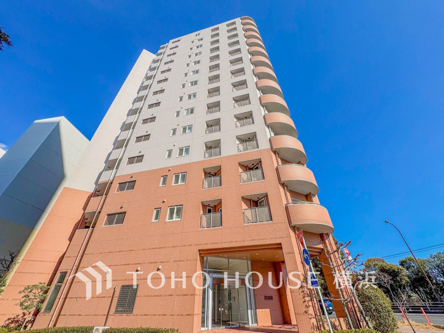 【2026年1月撮影】