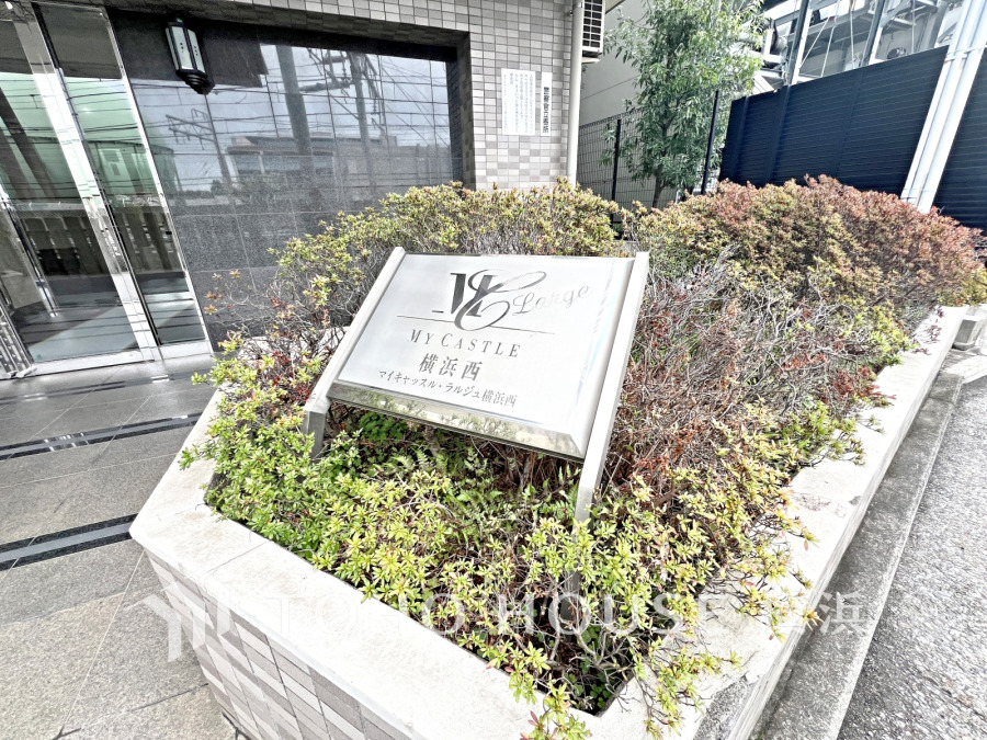 【2026年4月撮影】