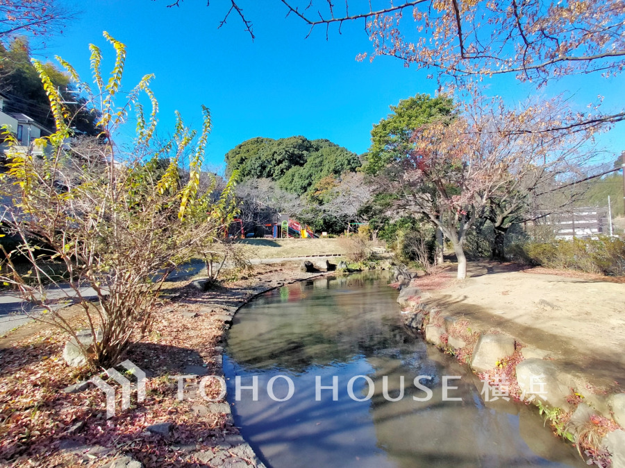 谷矢部池公園…約80ｍ