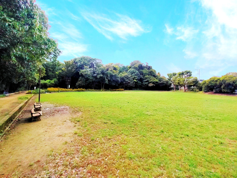 洋光台北公園　約450ｍ