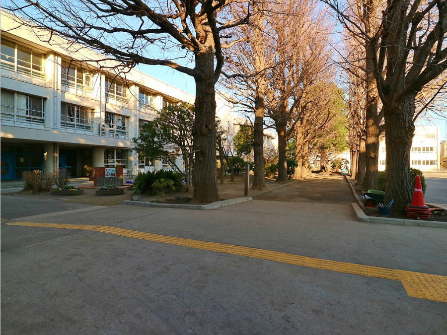 川崎市立下沼部小学校まで約900m。