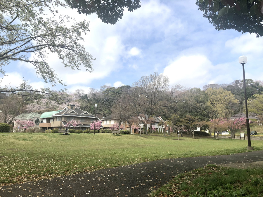 新本牧公園 約230ｍ