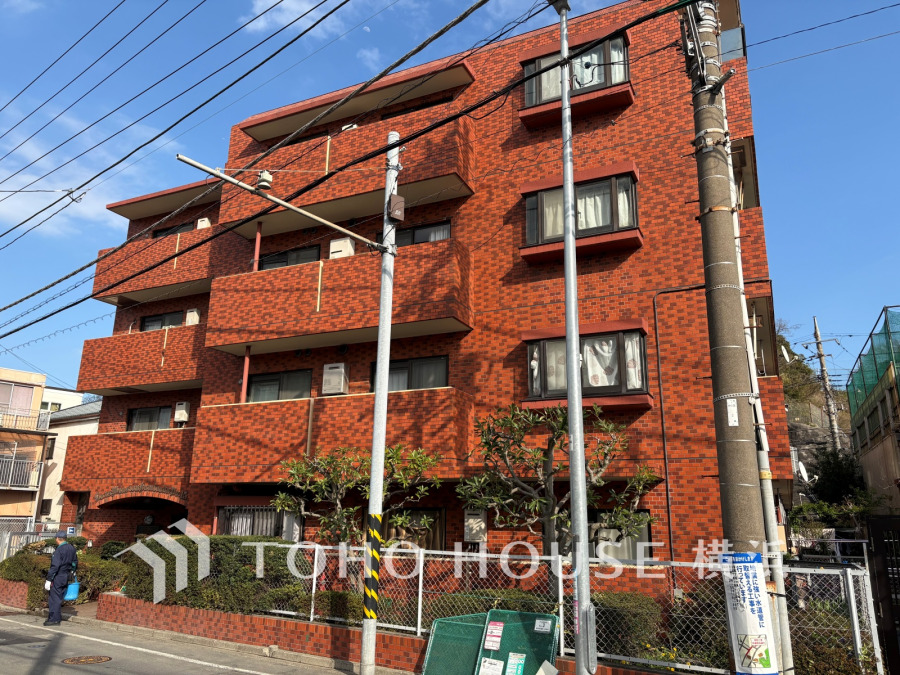 【2026年3月撮影】