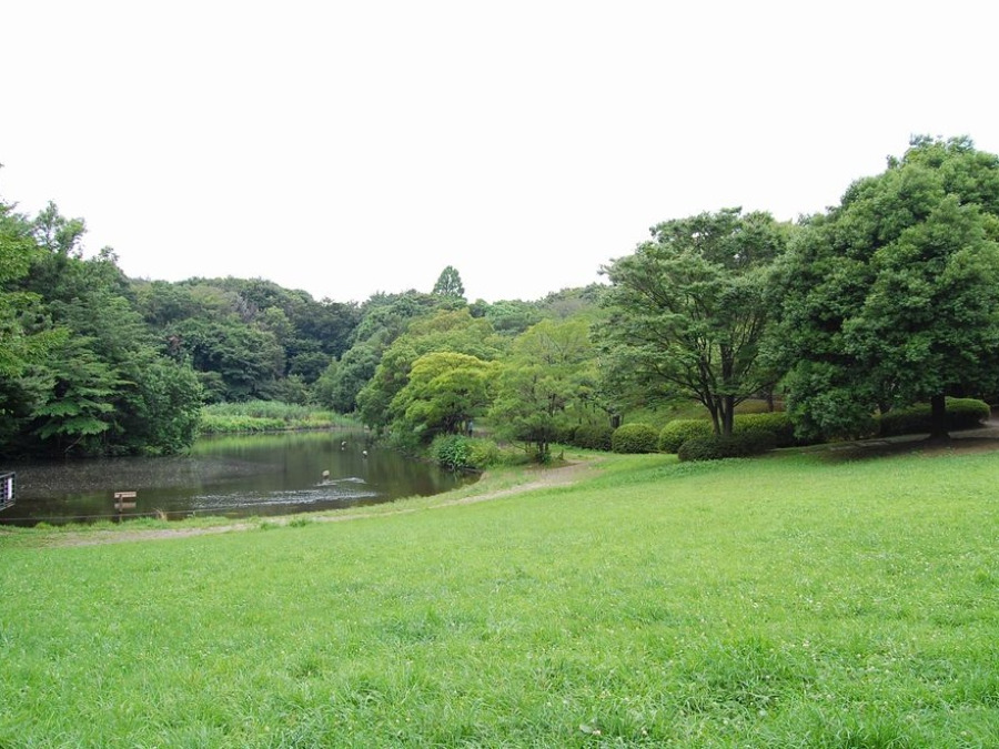 鴨池公園　約800ｍ