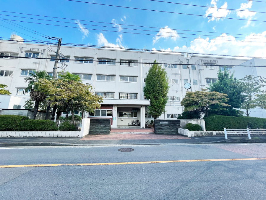 横浜市立新田中学校　約350ｍ