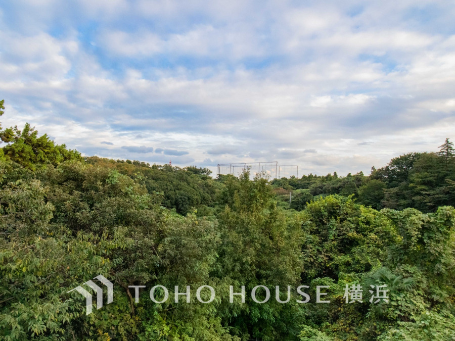 季節感を演出する多彩な樹木と豊かな彩りが重なり、四季折々の変化を楽しめる心地よい場所となることでしょう。時間の経過と共に味わいが出る素敵な空間へ。