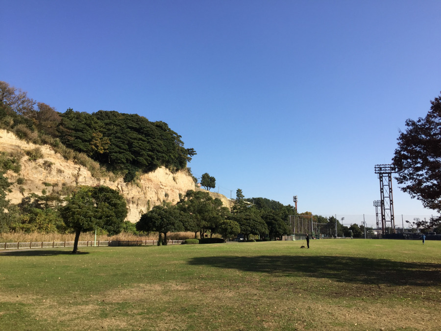 本牧市民公園: 約1300m