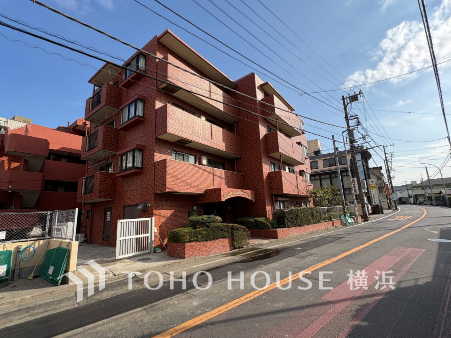 【2026年3月撮影】