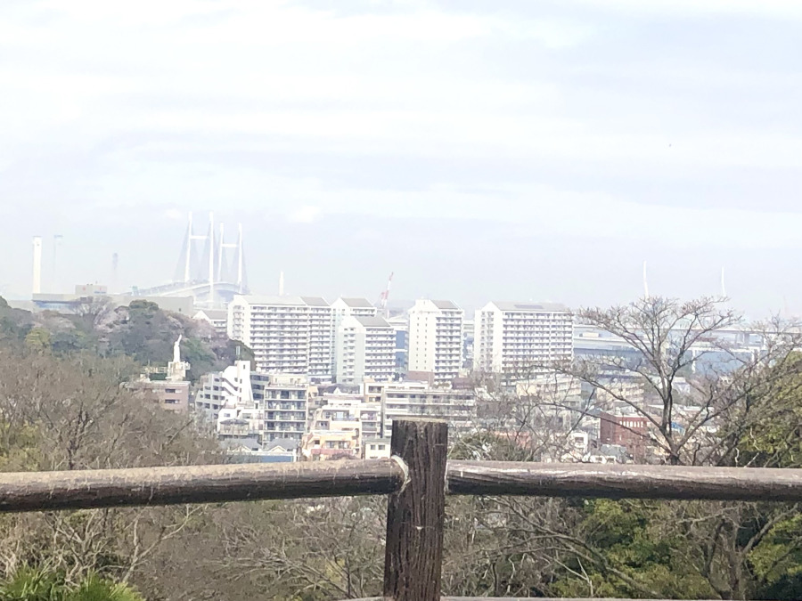 本牧山頂公園　約350ｍ