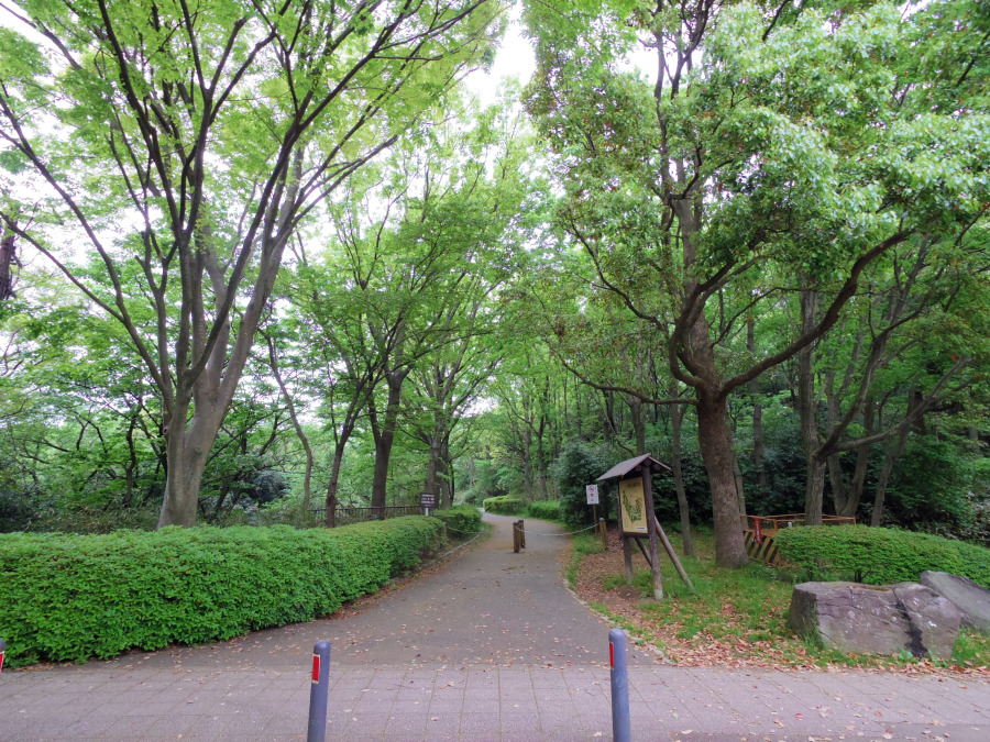 舞岡公園まで　約450ｍ