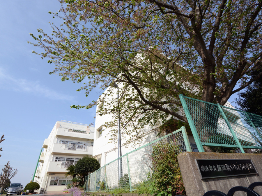 横浜市立飯田北いちょう小学校　約1,200ｍ