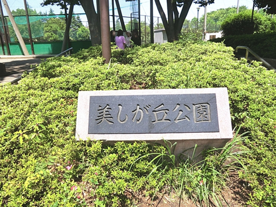 美しが丘公園まで　約550ｍ