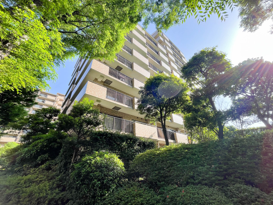 時間のゆとりと空間、爽やかな陽光がもたらす光と風を贅沢なまでに感じる暮らしが始まります。