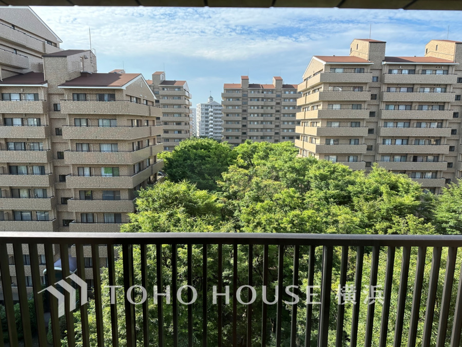 時の流れと共に装いを変える街の景観を独り占め。この街ならではの美しい風景を心ゆくまでお楽しみ下さい。