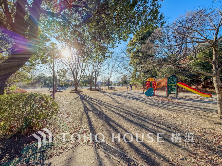 泉天ヶ谷公園まで　約180ｍ