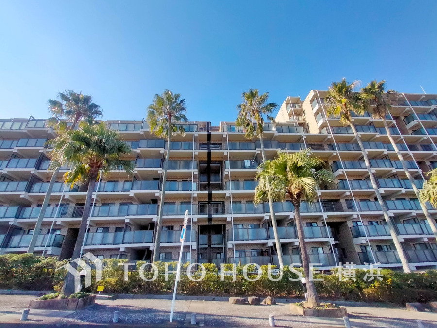 ヤシの木が並ぶリゾート感のあるマンションです。総戸数146戸のビッグコミュニティです。