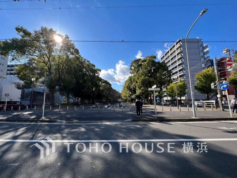 大通り公園　約230ｍ