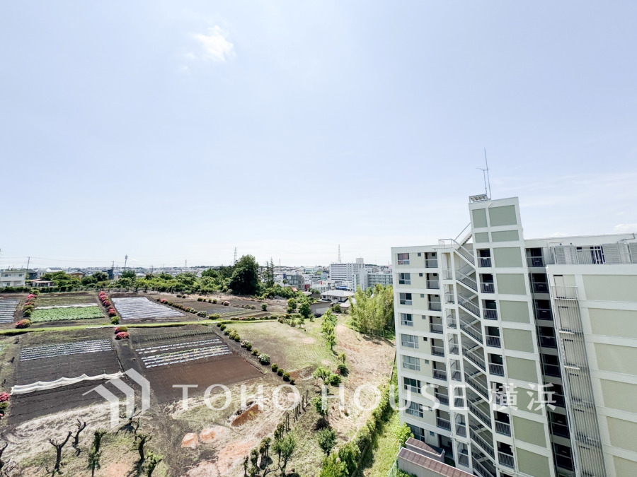 手を伸ばせば、ふれることが出来そうな環境が、そのままインテリアになったような印象です。その豊かな眺望にふさわしい空間には、通風・採光にも優れ、心地よい光と風があふれています。