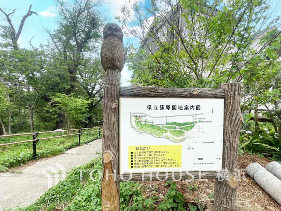 篠原園地まで　約800ｍ
