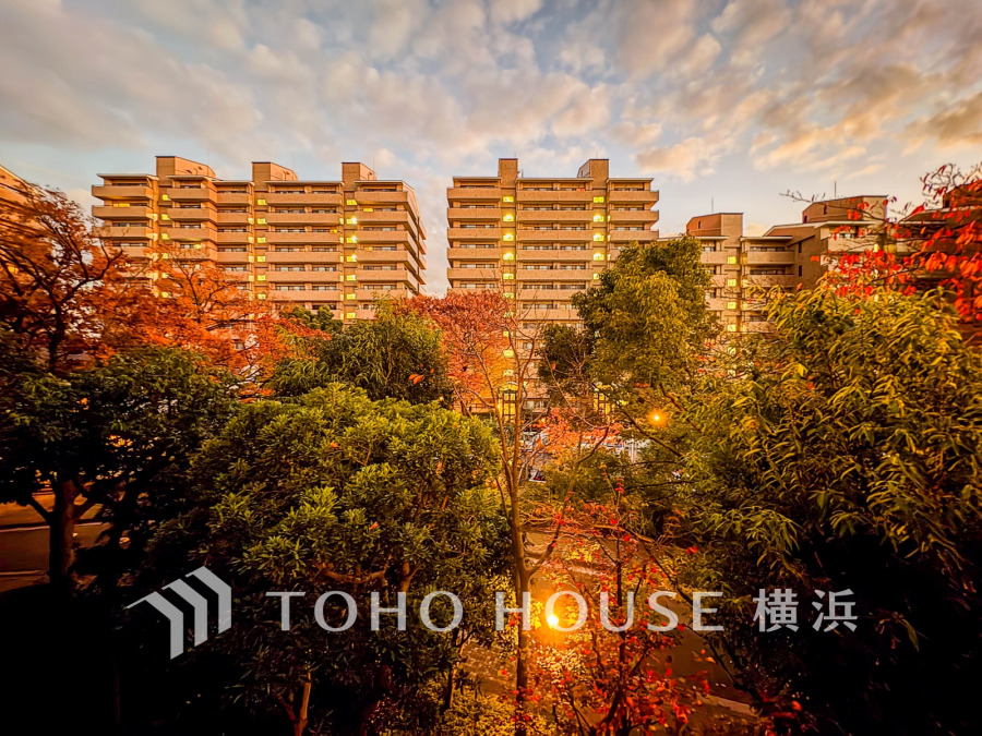 陽射しとともに、少しずつ装いを変える街の景観から、星空が地上に映りこむかのような夜景の煌きまで、この街ならではの美しい風景。