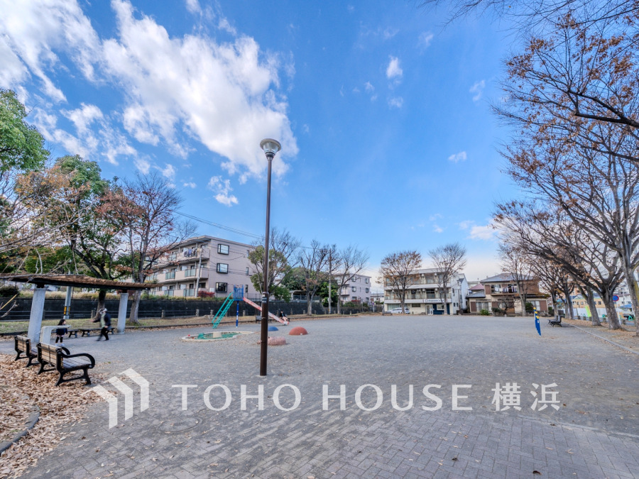 柏町北公園…約700ｍ