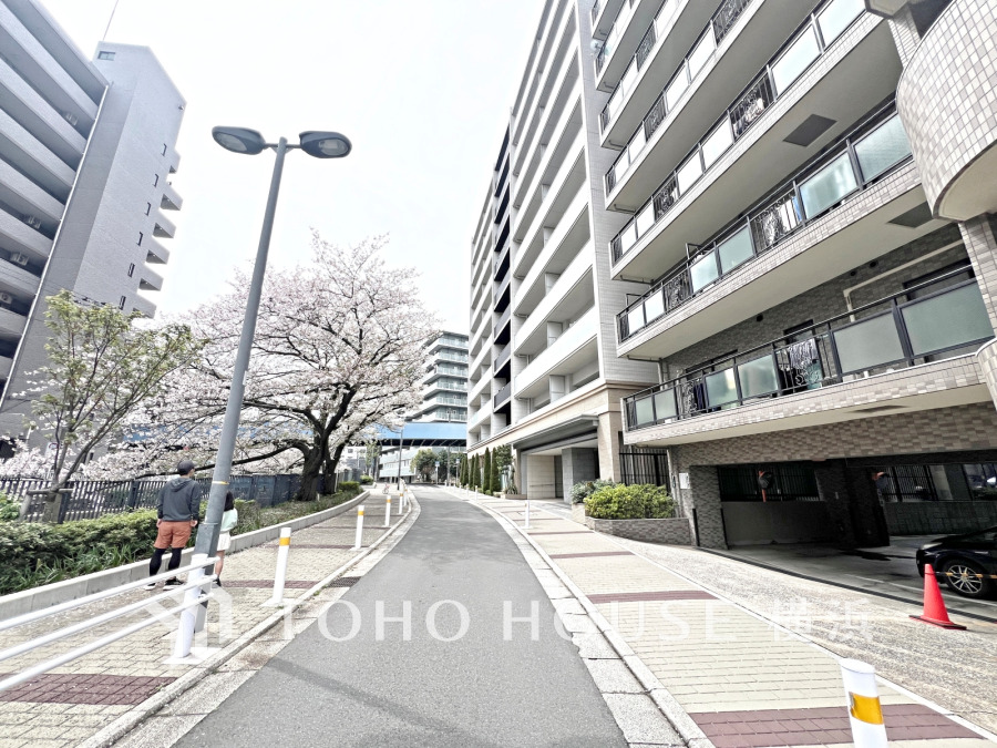 【2026年4月撮影】