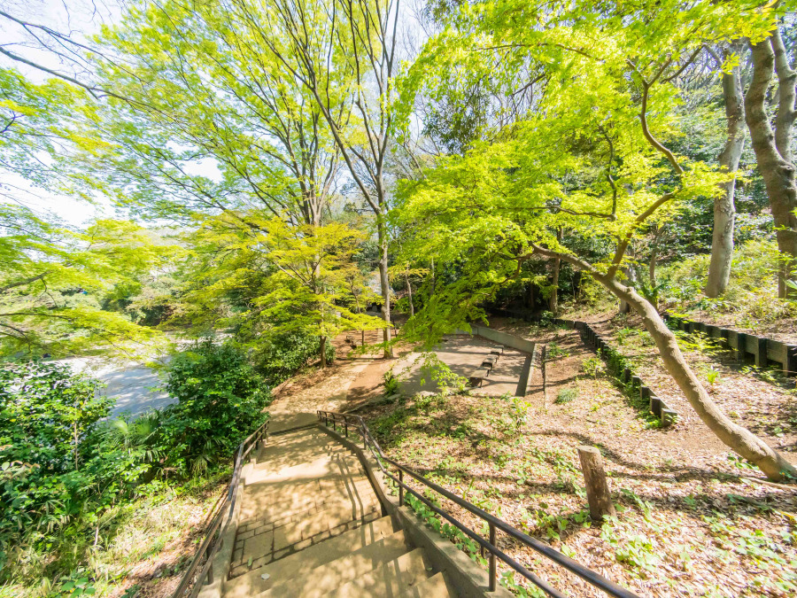 白幡公園　約400ｍ