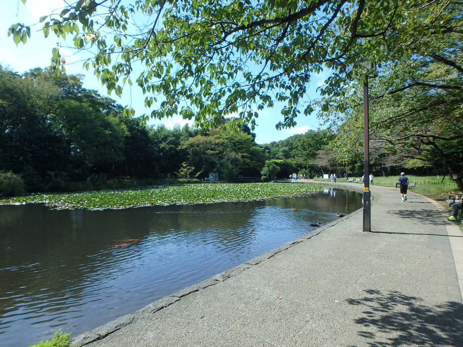 せせらぎ公園まで 約800m
