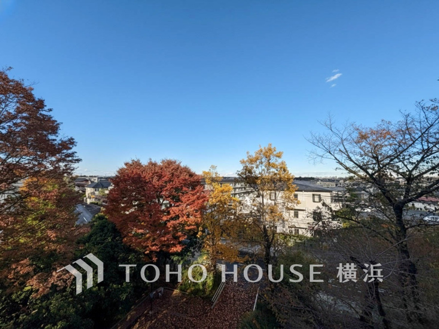 四季の彩りを楽しめる自然豊かな眺望。静かな環境でゆったりとした時間を過ごせます。