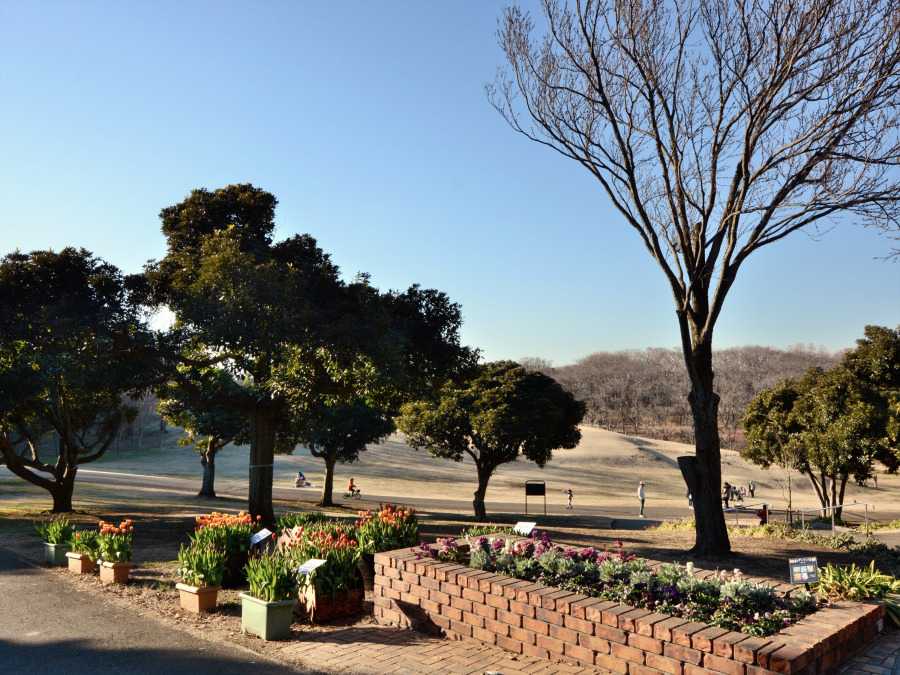 根岸森林公園まで　約350ｍ